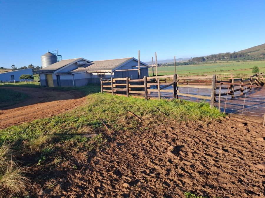 6 Bedroom Property for Sale in Riversdale Rural Western Cape